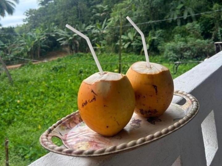 Sandaru Holiday Resort Weligama Buitenkant foto
